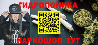 соль ск Славгород