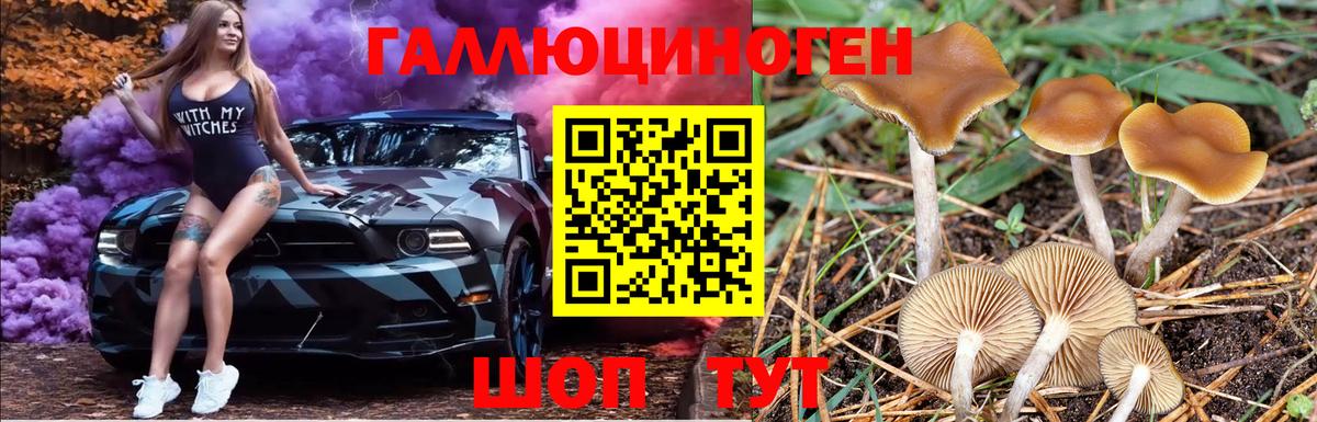 как найти закладки  Галлюциногенные грибы Psilocybine cubensis  Вход с VPN  Оренбург 